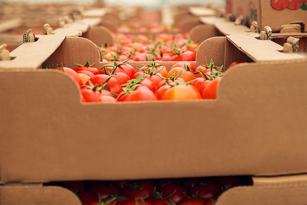 Caja de tomates con certificado de seguridad alimentaria Coproyma