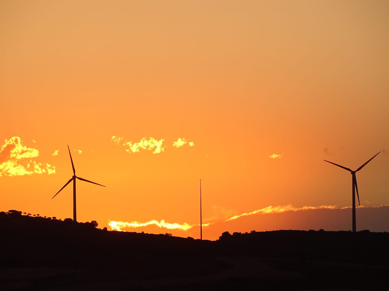 Día Mundial de la Energía en Coproyma