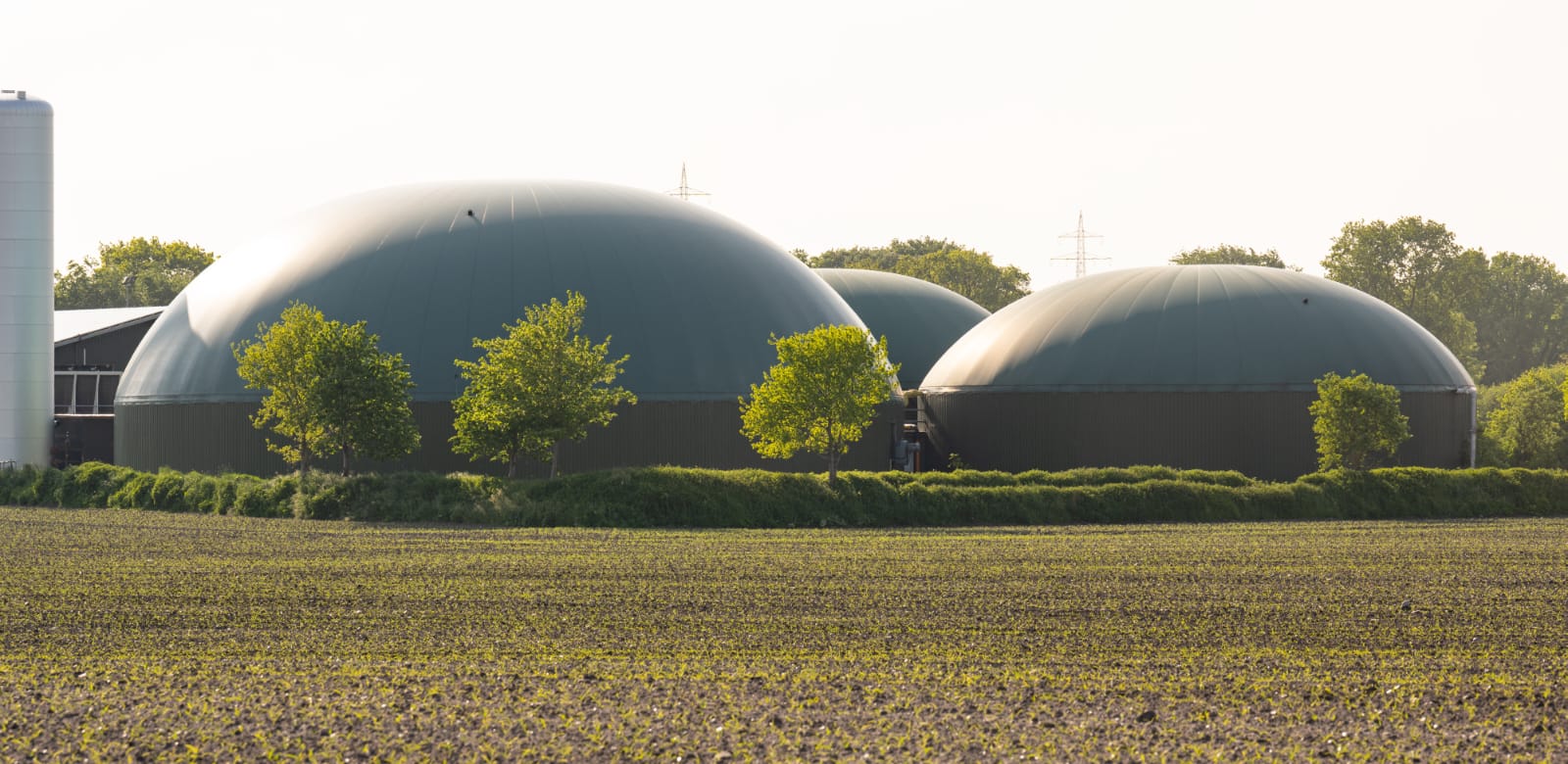 AAI Plantas Biogás