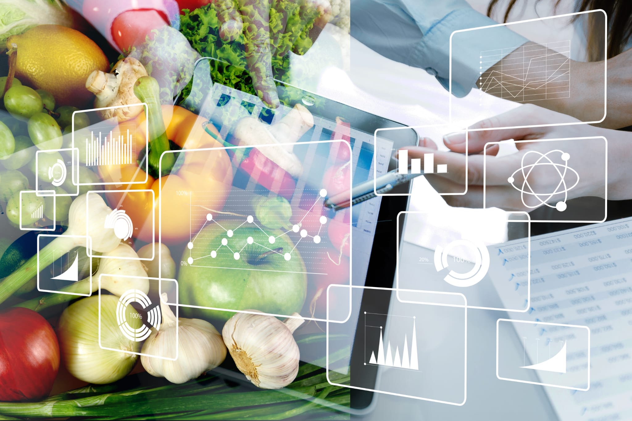 Ley de Prevención de Pérdidas y Desperdicio Alimentario