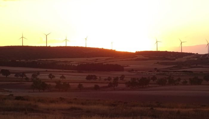 Molinos Eólicos y puesta de sol Coproyma Día Mundial de la Energía